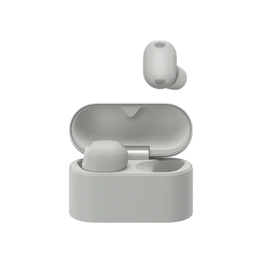 SONY WF-1000XM6/BZE Wireless Headphones Silver